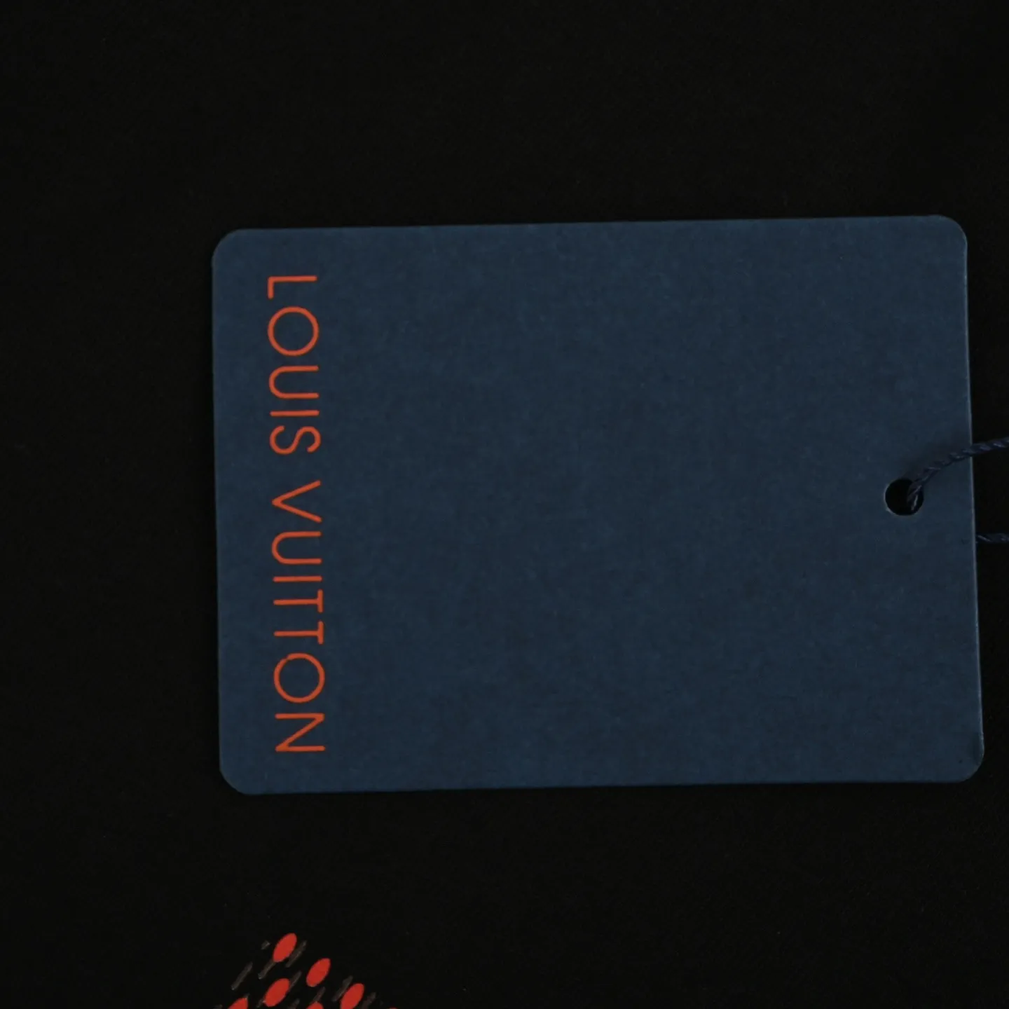 Louis Vuitton/ 25ss